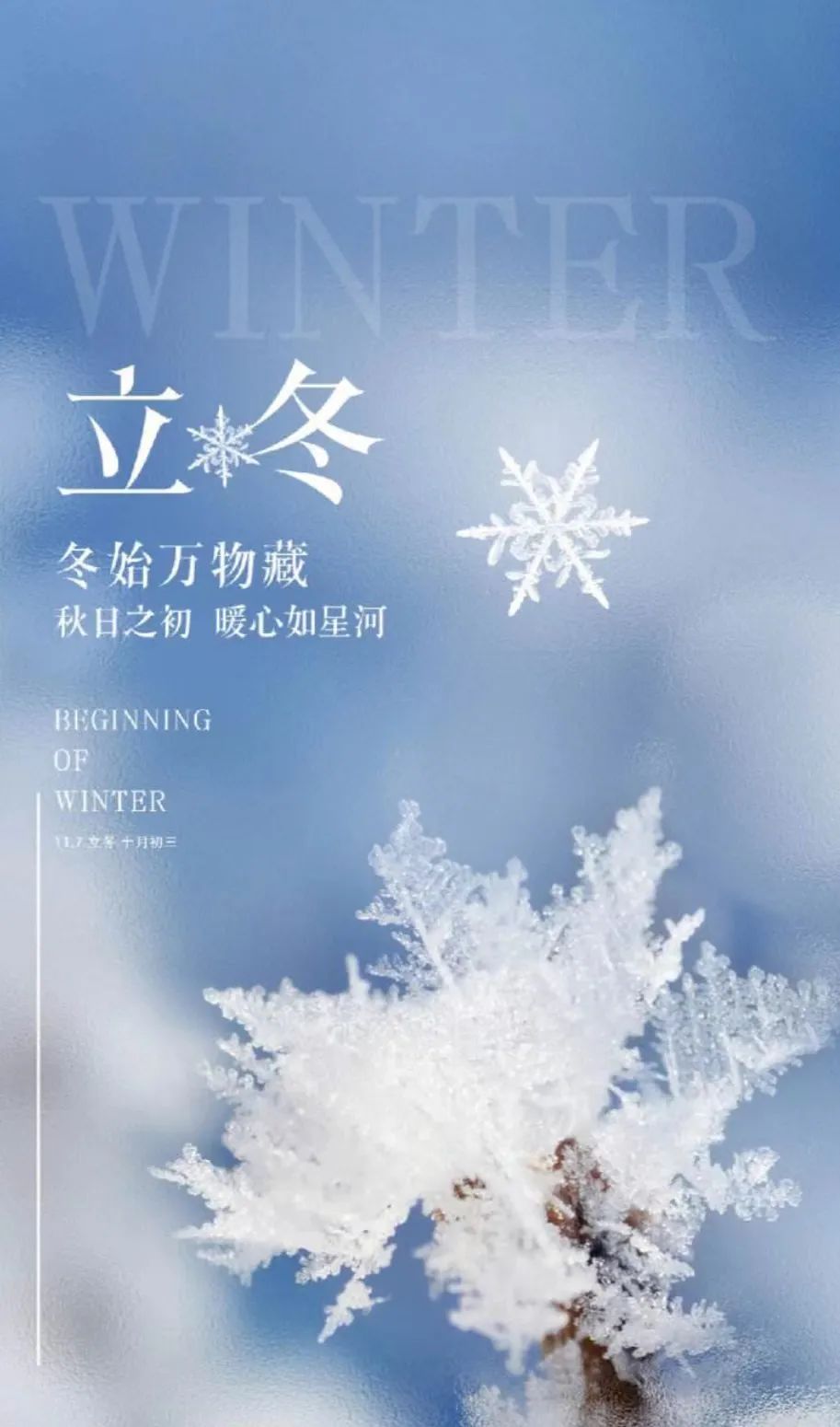 冬以蓄势 而非凋零 静待春来